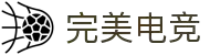 完美电竞•(中国)电子竞技-Perfect Esports